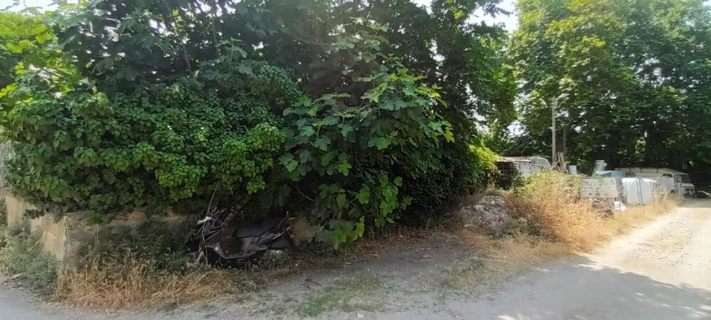 Vente Terrain Terrain industriel sur Drap Drap