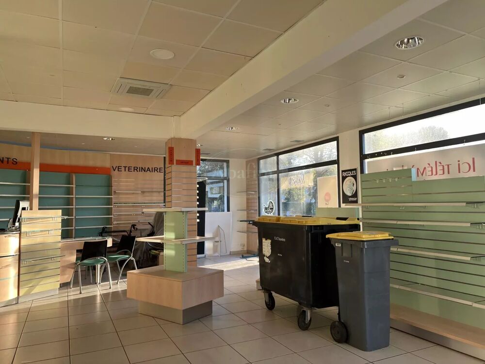 Vente Immeuble Local investisseur Sauveterre-de-béarn