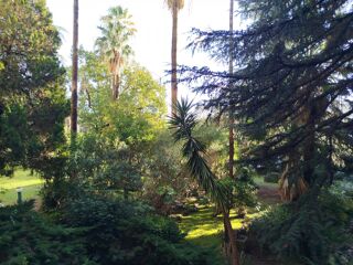  Appartement � vendre 2 pi�ces 61 m�