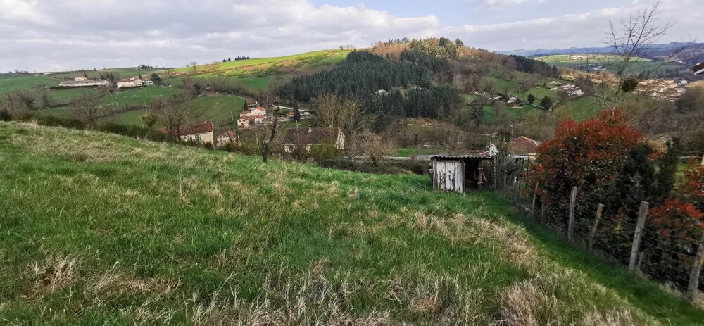 Vente Terrain Terrain Saint-galmier