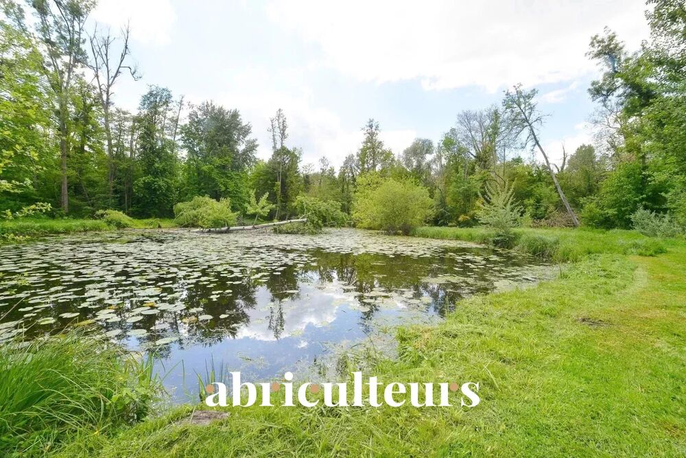 � vendre  Propri�t�/ch�teau Morigny-Champigny (91150)