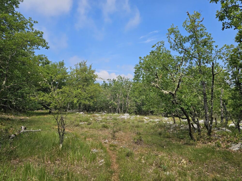 Vente Terrain Terrain de loisirs avec vue dégagée sur les montagnes Saint-vallier-de-thiey