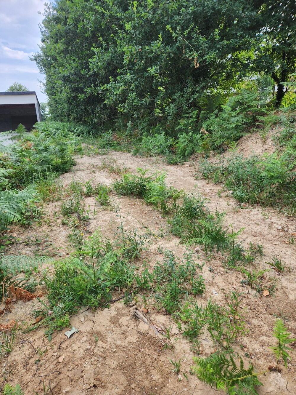 Vente Terrain Magnifique terrain constructible Carhaix-plouguer