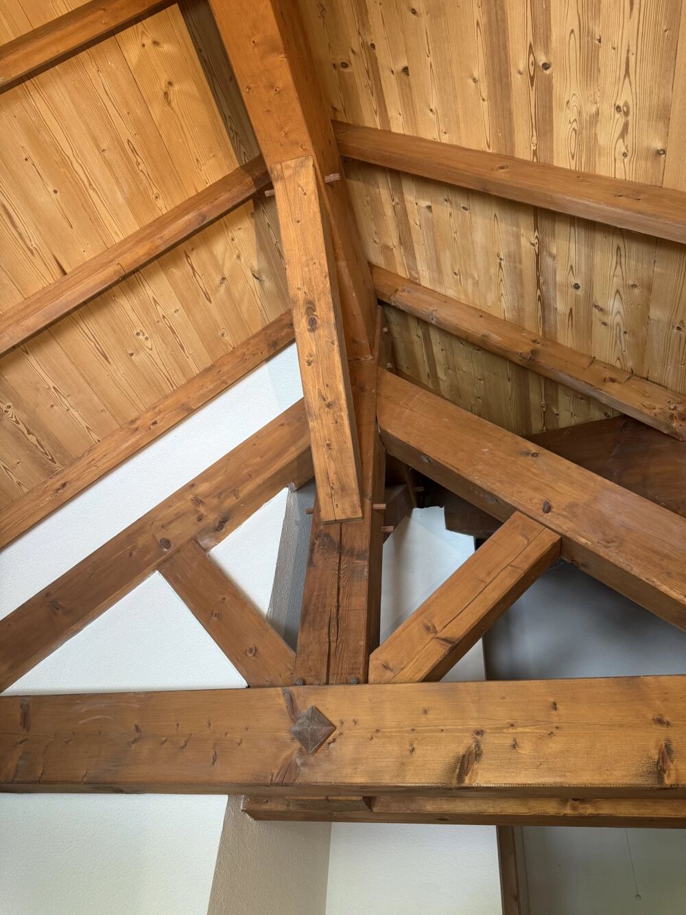 EXCLUSIVITÉ APPARTEMENT CENTRE BRIDES-LES-BAINS