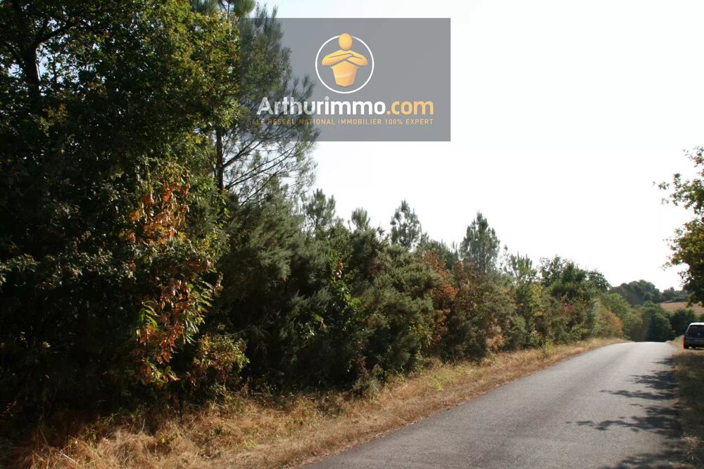 Vente Terrain BILLIO - TERRAIN BOISÉ DE 9 900 M² Billio