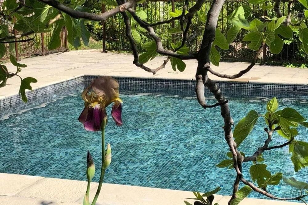 AUPS: ELEGANTE MAISON BOURGEOISE AVEC PISCINE