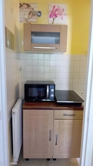  Appartement à louer 1 pièce 17 m²