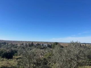Vente Maison Mazet avec piscine entre Alpilles et Arles Arles