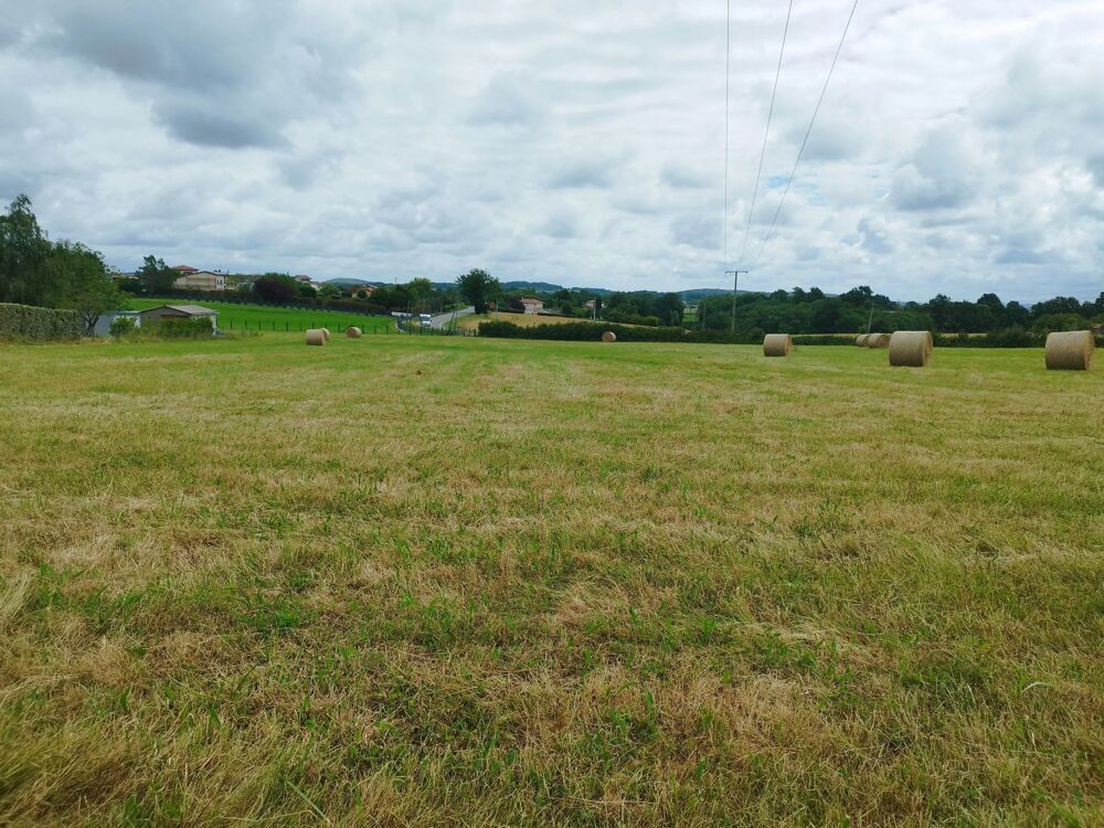 Vente Terrain EXCLUSIVITÉ – TERRAIN À BÂTIR DE 1 205 M² – SAINT-GAUDENS Saint-gaudens