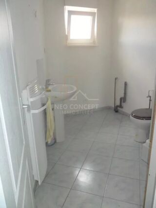  Appartement à louer 1 pièce 30 m²