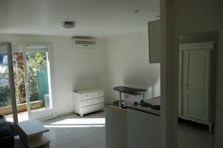  Appartement à louer 1 pièce 20 m²