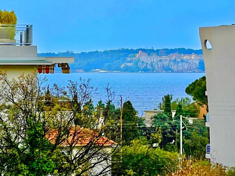 CANNES APPARTEMENT 3 P VUE MER ,JARDIN SUSPENDU