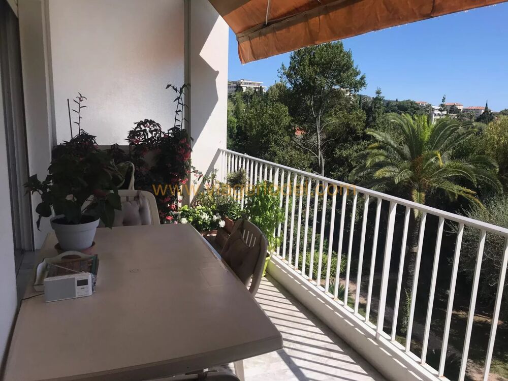 Vente Appartement Réf. 10 139 - VIAGER LIBRE - NICE (06) Nice
