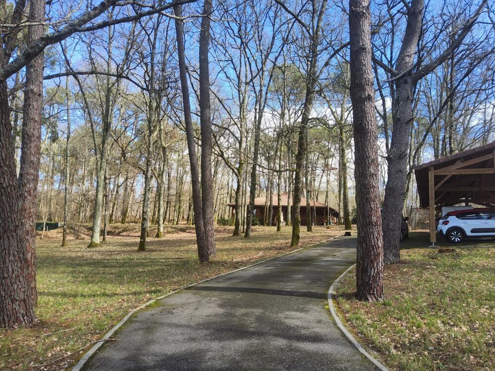 Vente Maison À DÉCOUVRIR : SUPERBE MAISON EN BOIS HAUT DE GAMME, AU CŒUR DE L Ambrus