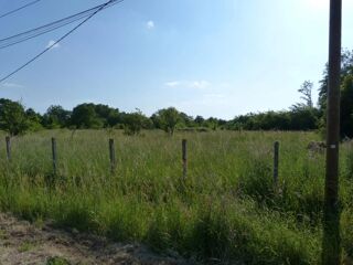  Terrain � vendre  M�ry-sur-cher