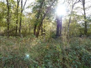  Terrain � vendre 23320 m�