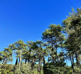  Maison � vendre 4 pi�ces 170 m�