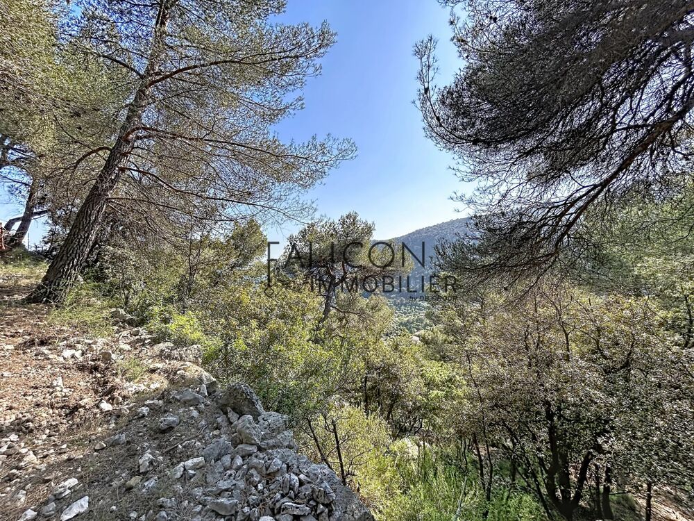 Vente Terrain Terrain constructible Falicon Falicon