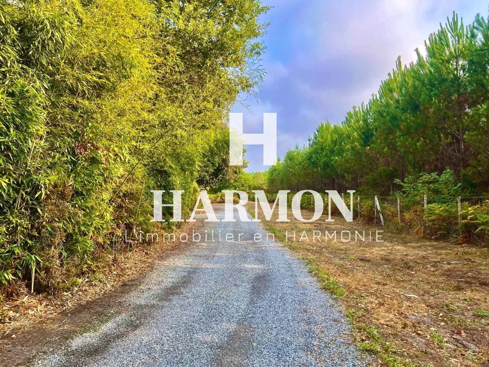 � vendre  Villa Sanguinet (40460)