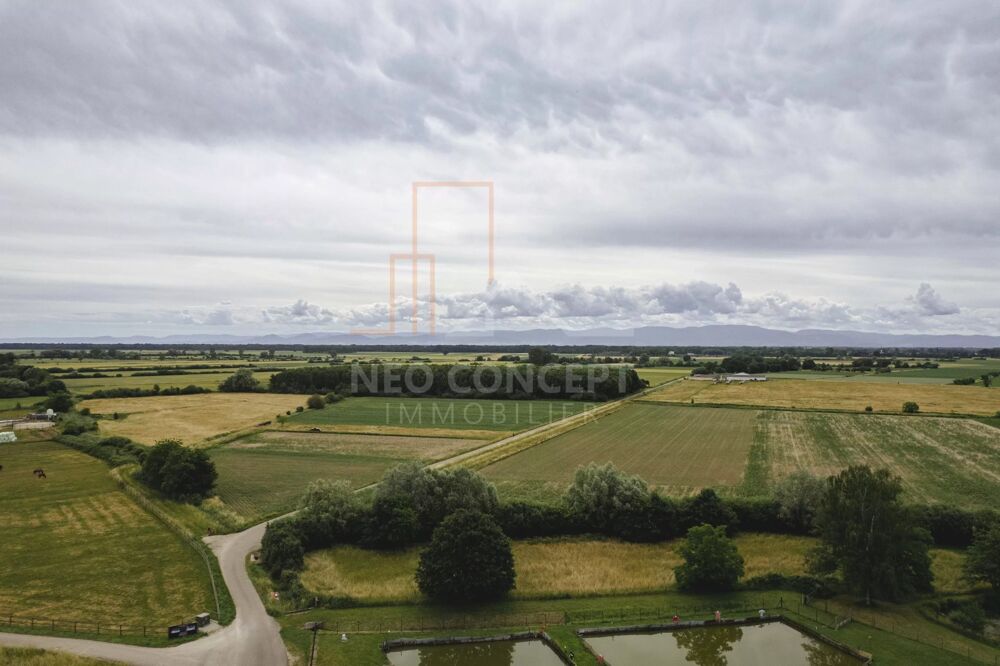 Vente Terrain OBERHOFFEN SUR MODER vous avez un projet ? BELLE PARCELLE A NE P Oberhoffen-sur-moder