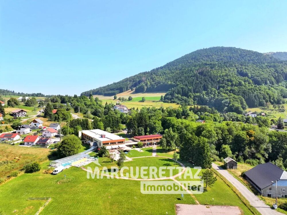 PROCHE GENÈVE - AU COEUR DES ALPES DU LÉMAN - OPPORTUNITÉ D'INVE