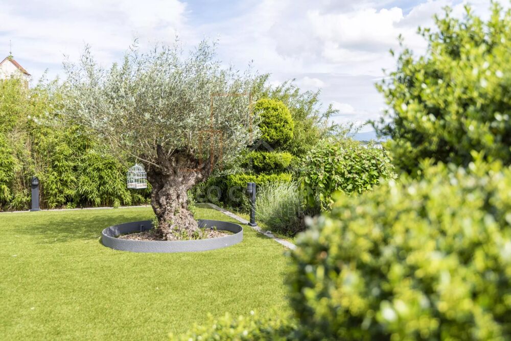 � vendre  Villa Schirrhein (67240)