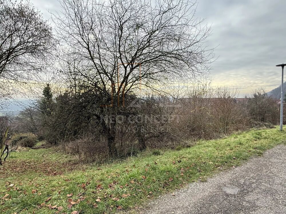 Vente Terrain OBERBRONN, Beau terrain constructible et viabilisé Oberbronn