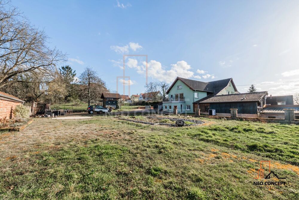 Vente Maison NEHWILLER Maison contemporaire de plus de 185 m2 dans un cadre e Reichshoffen