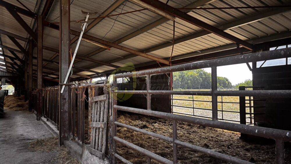 à vendre  Maison Neuillay-les-Bois (36500)