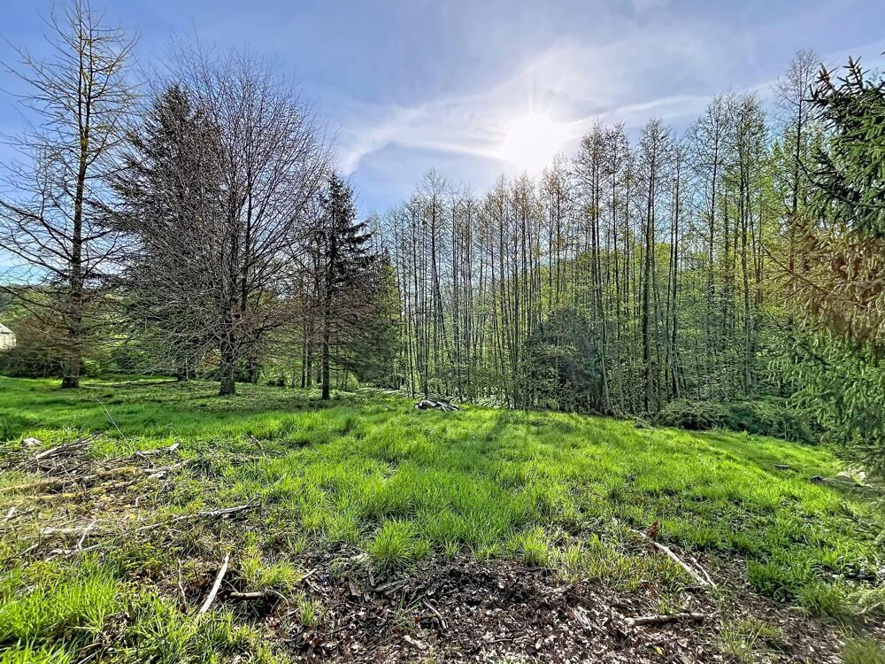 Vente Terrain Terrain de loisir 1 hectare avec 2 étangs Bourguignon-sous-montbavin