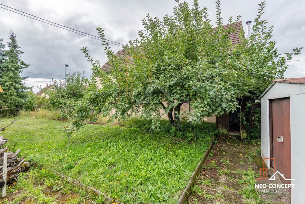 Vente Maison Maison à rénover totalement – 9,69 ares avec potentiel construct Bischwiller