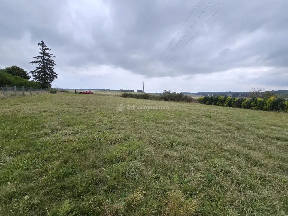 Vente Terrain terrain constructible  BIESLES Biesles
