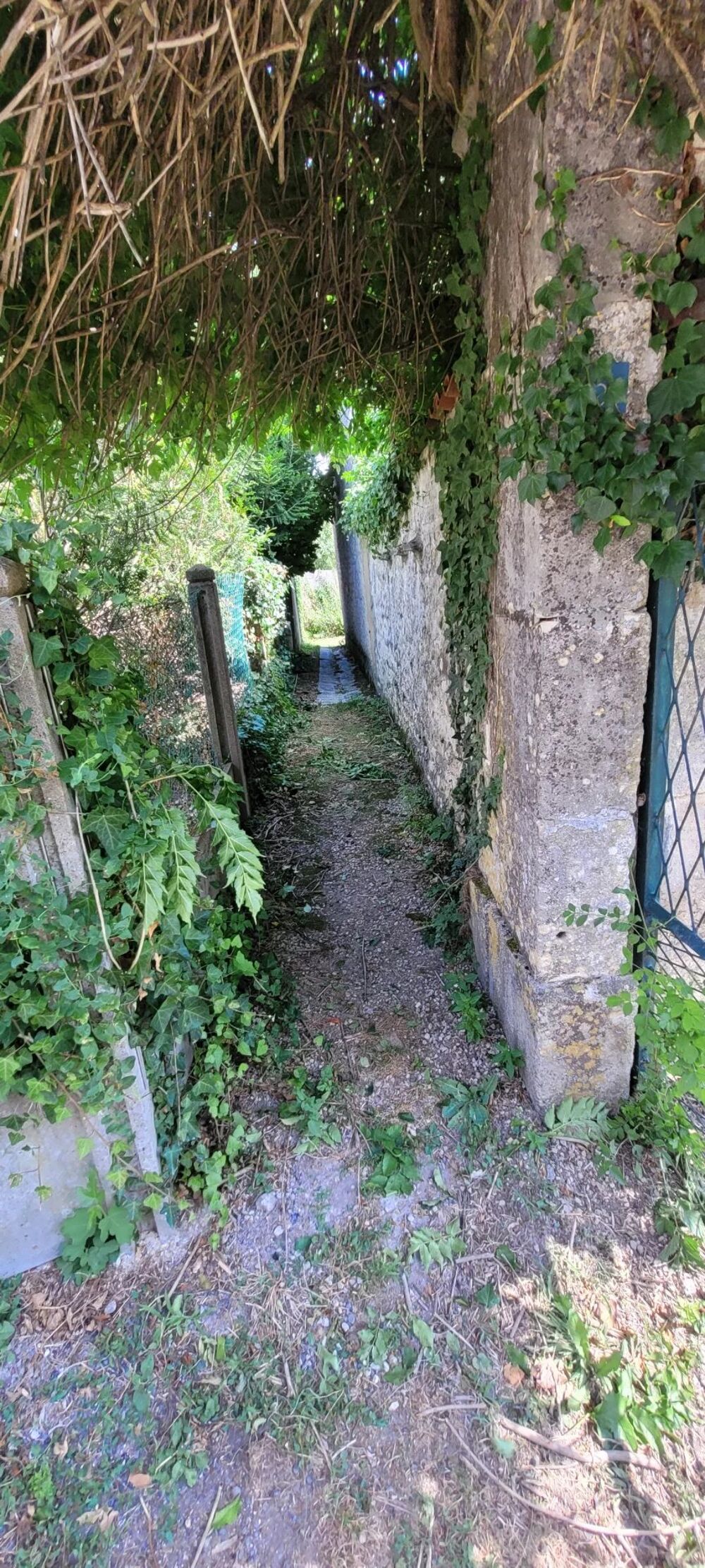 Vente Maison 10 mns nord Saint Jean d'Angély Antezant-la-chapelle