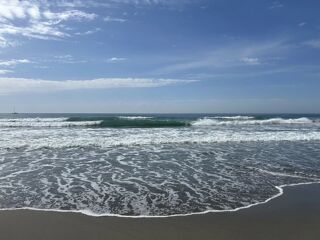  Appartement � vendre 3 pi�ces 36 m�