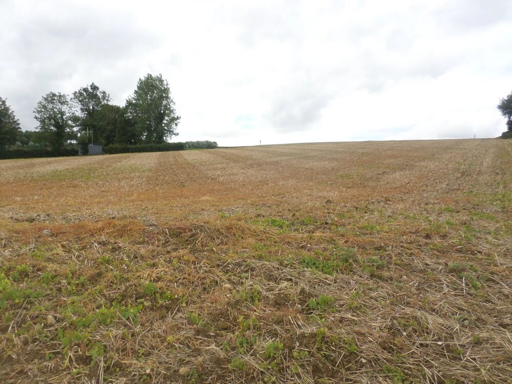 Vente Terrain TERRAIN A BATIR Doudeauville