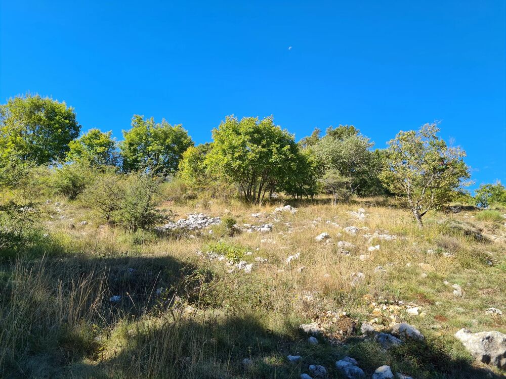 Vente Terrain Terrain constructible 2000m² env. à Caussols Caussols