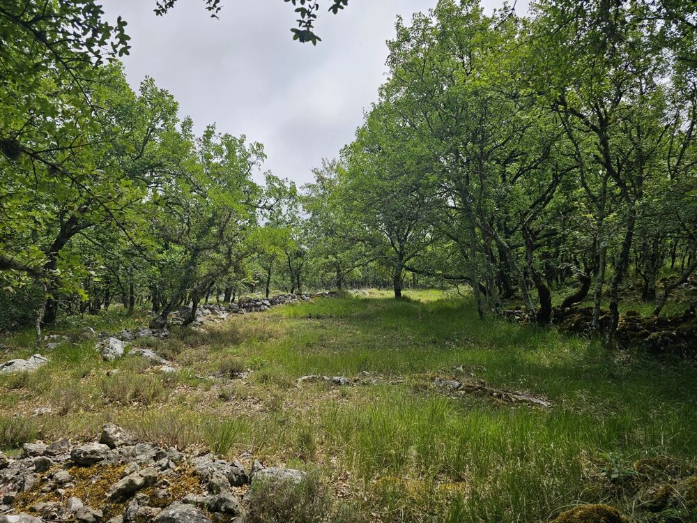 Vente Terrain Terrain de loisirs avec vue dégagée sur les montagnes Saint-vallier-de-thiey