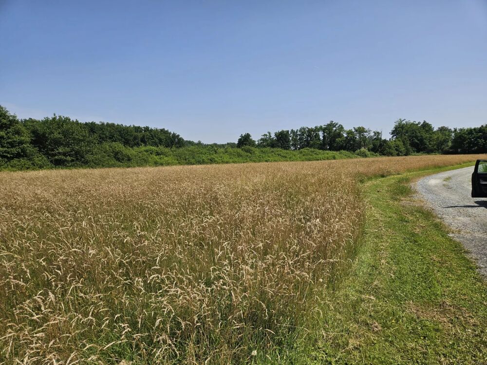 Vente Terrain Terrain Feurs