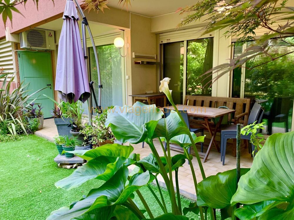Réf. annonce : 10 086 - VIAGER OCCUPE - NICE (06) Fabron