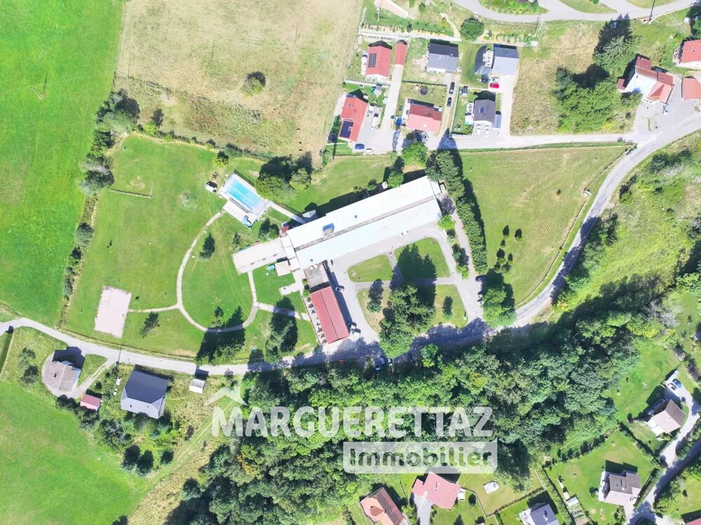 PROCHE GENÈVE - AU COEUR DES ALPES DU LÉMAN - OPPORTUNITÉ D'INVE