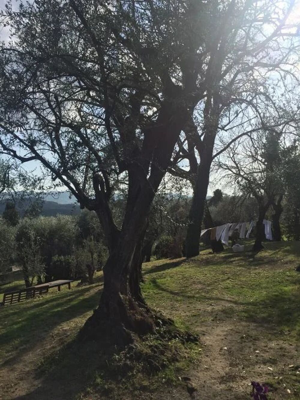 Location Maison Villa indépendante de 250m² avec terrasse, jardin et parking Grasse