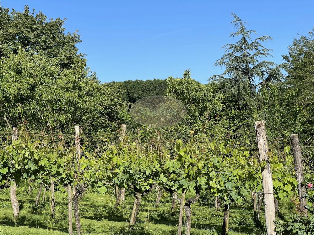 à vendre  Maison Aire-sur-l'Adour (40800)