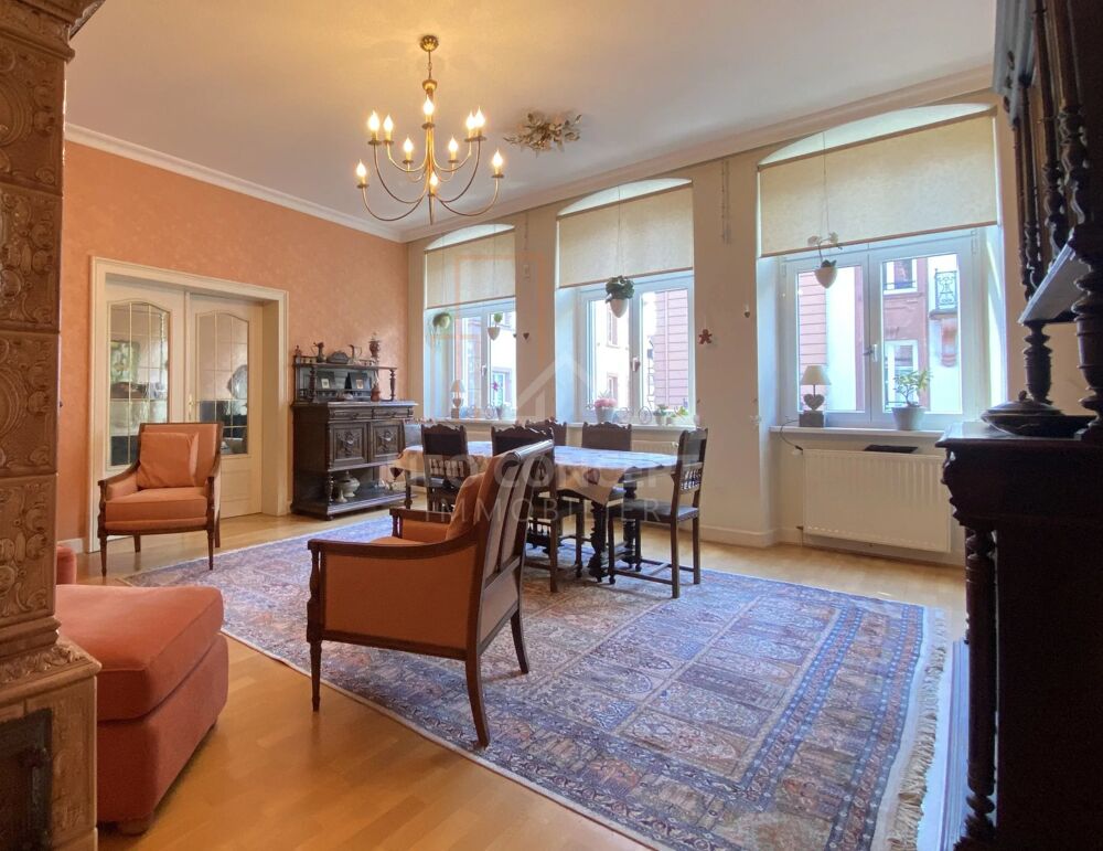 Vente Immeuble Ensemble immobilier en monopropriété Wissembourg