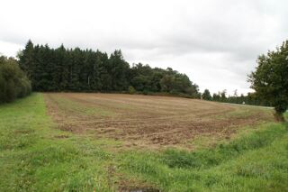  Terrain  vendre 5 m