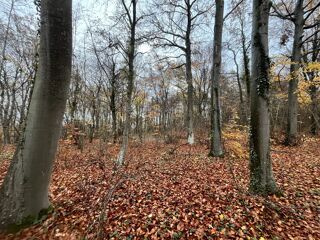  Terrain � vendre 108475 m�