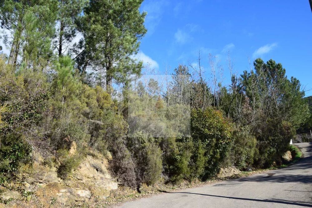 Vente Terrain Terrain constructible avec vue, hors lotissement Sainte-c�cile-d'andorge