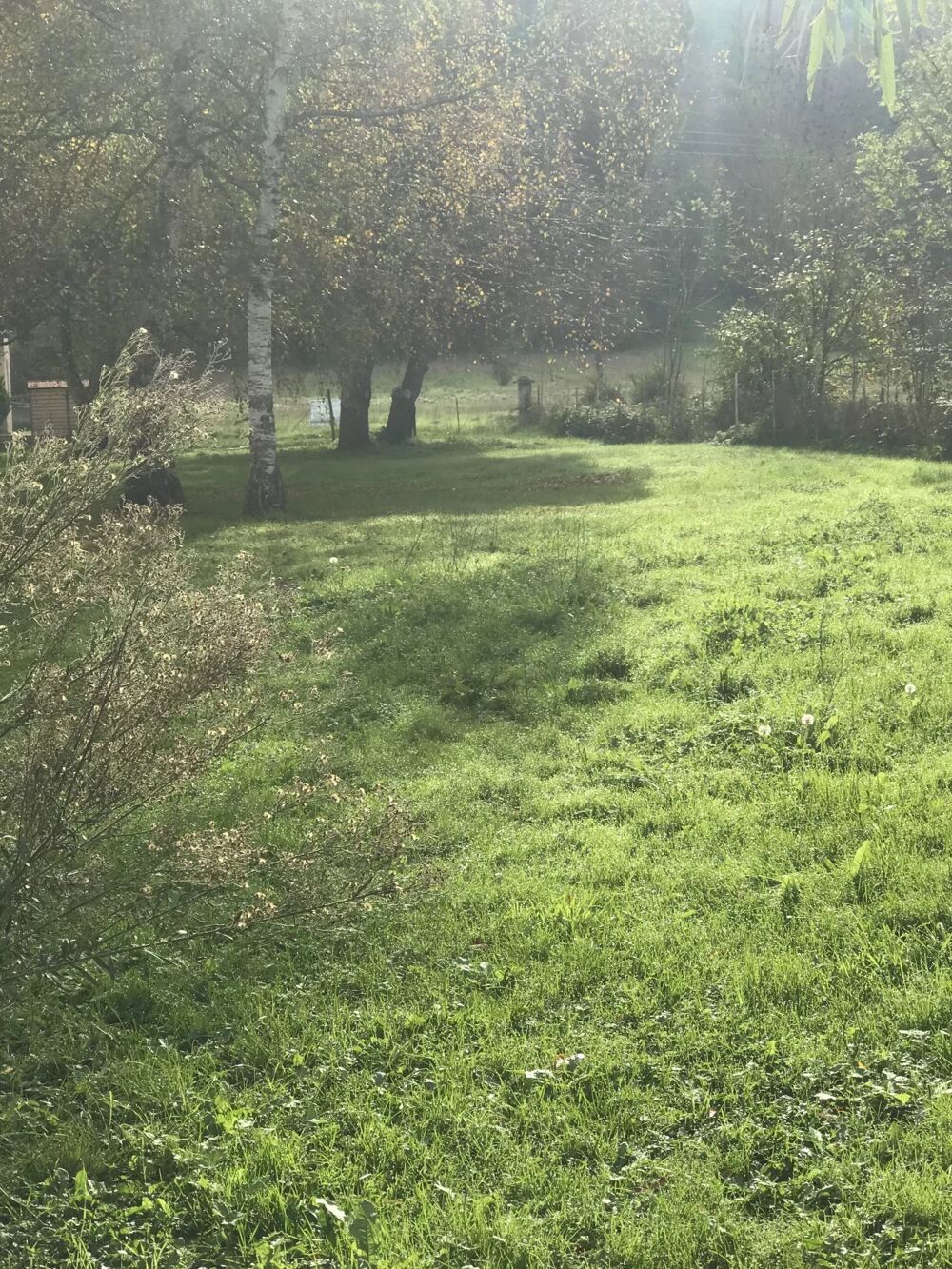 Vente Terrain TERRAIN CONSTRUCTIBLE Ardiège