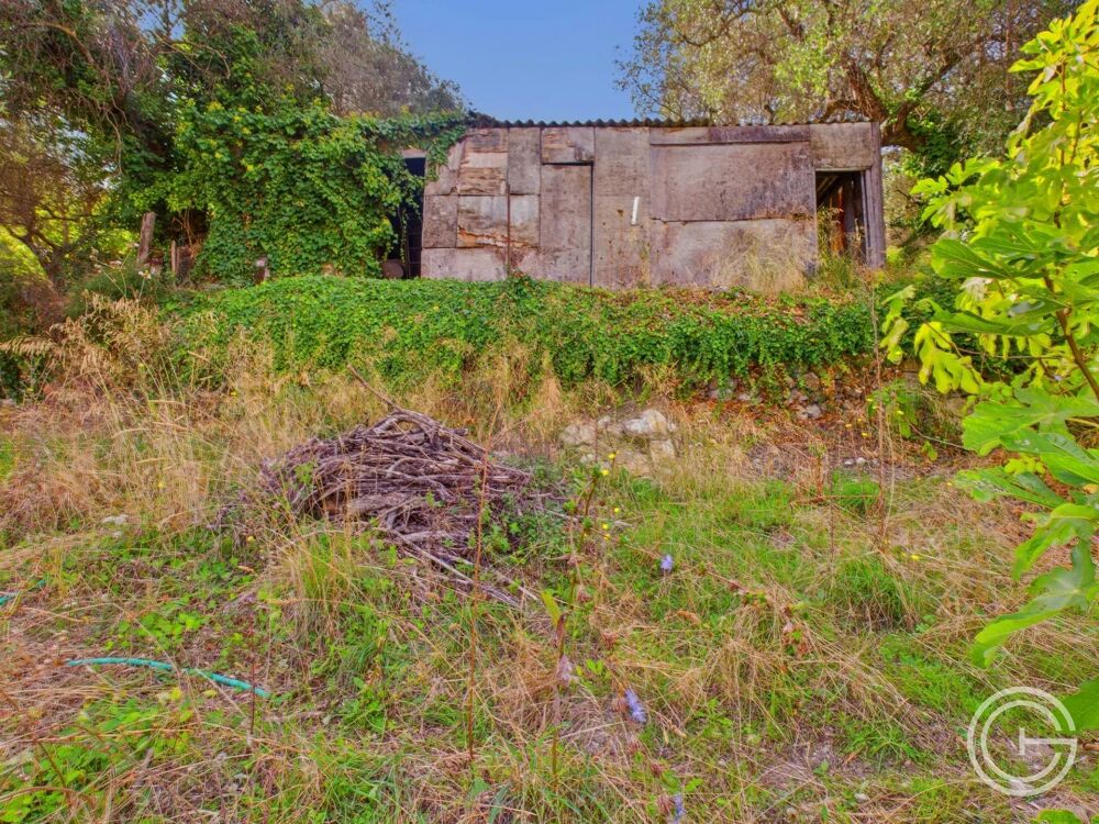 Vente Terrain Terrain Constructible - 1.329m² - Chemin de Rimiez - ST ANDRE DE Saint-andré-de-la-roche
