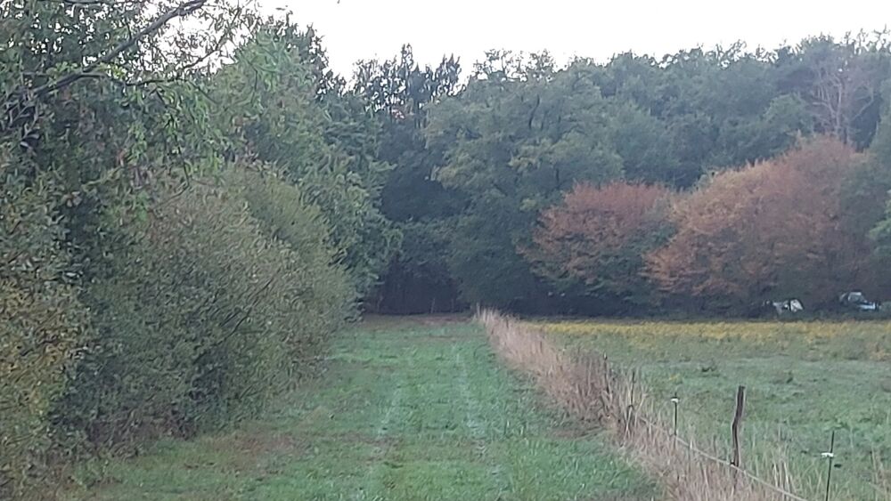 Vente Terrain EXCLUSIVITÉ - ORLÉAT - TERRAIN DE 7 940 M² DONT 685 M² CONSTRUCT Orléat