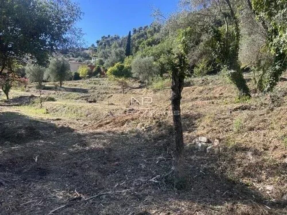 Vente Terrain Falicon, magnifique terrain constructible avec 17 lots dont 10 i Falicon
